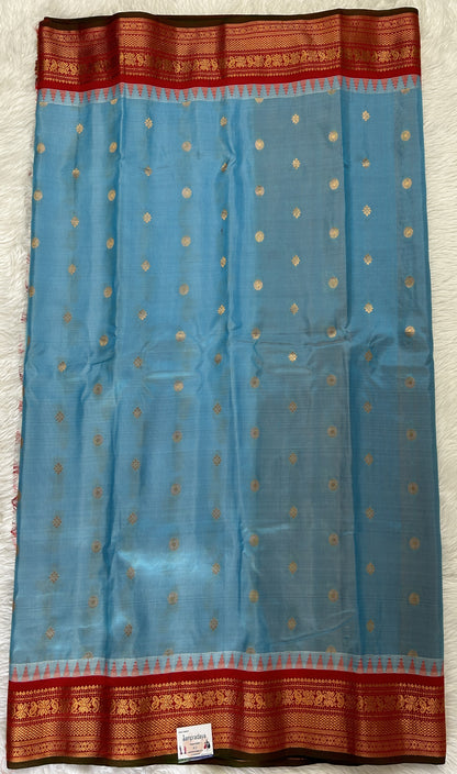 Gadwal Pattu Saree Sky Blue colored saree complemented with a Bright Red Kanchi Border - Sampradaya Designer Studio