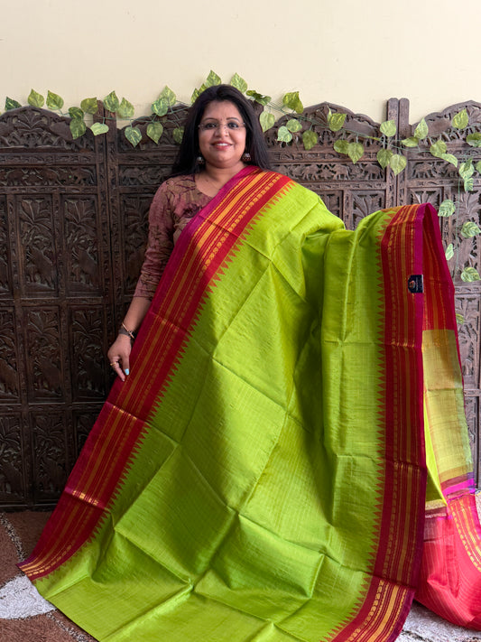Green Gadwal Silk Saree with Gold Zari Border — Pure Handloom | Silk Mark Certified