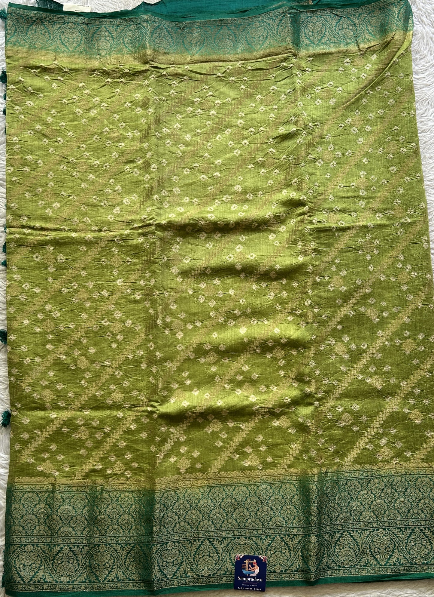 Bandhani Saree Light Green Colored Elegantly Paired with aGreen Color Zari Border. - Sampradaya Designer Studio