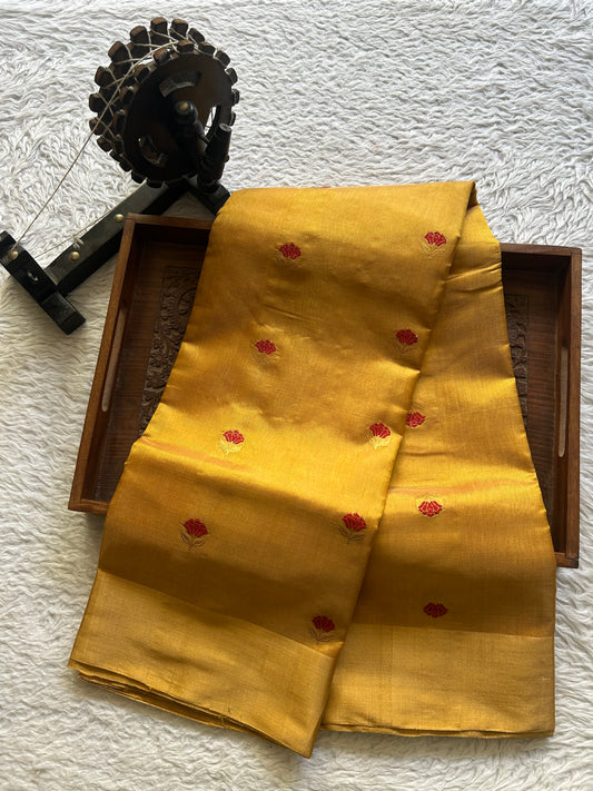 Chanderi Tissue Saree Mustard Yellow color Elegantly Paired with a Gold Zari Border