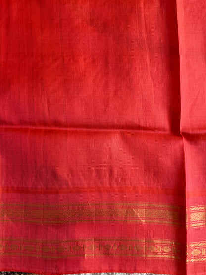 Beige and Black Gadwal Silk Saree with Gold Zari Border — Pure Handloom | Silk Mark Certified