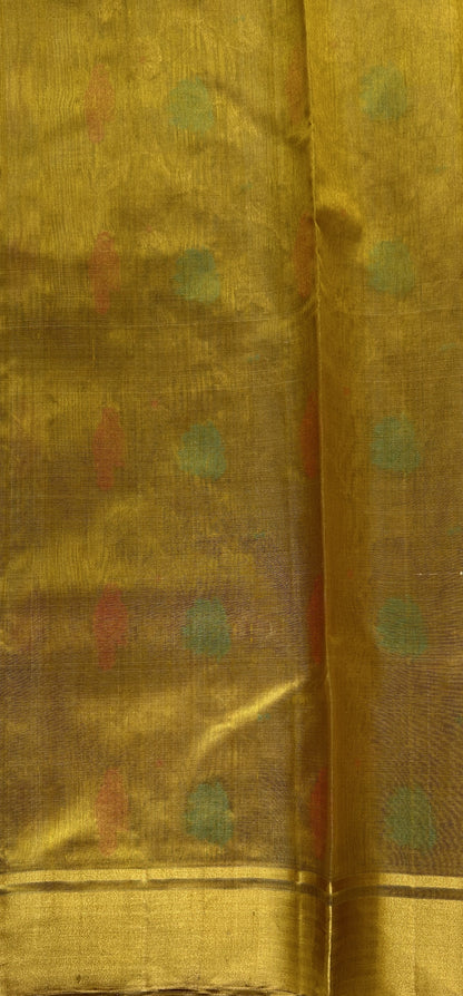 Chanderi Pattu Saree Gold Yellow colored saree complemented with a Gold Zari border - Sampradaya Designer Studio