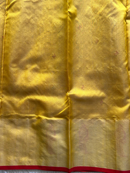 Chanderi Silk Saree Gold color Elegantly Paired with a Silver Zari Border