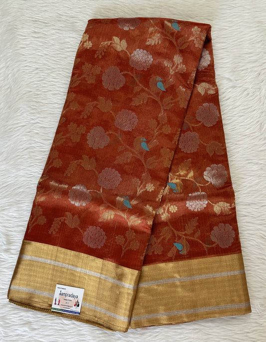 Chanderi Pattu Saree Brick colored saree complemented with a Gold Zari border - Sampradaya Designer Studio