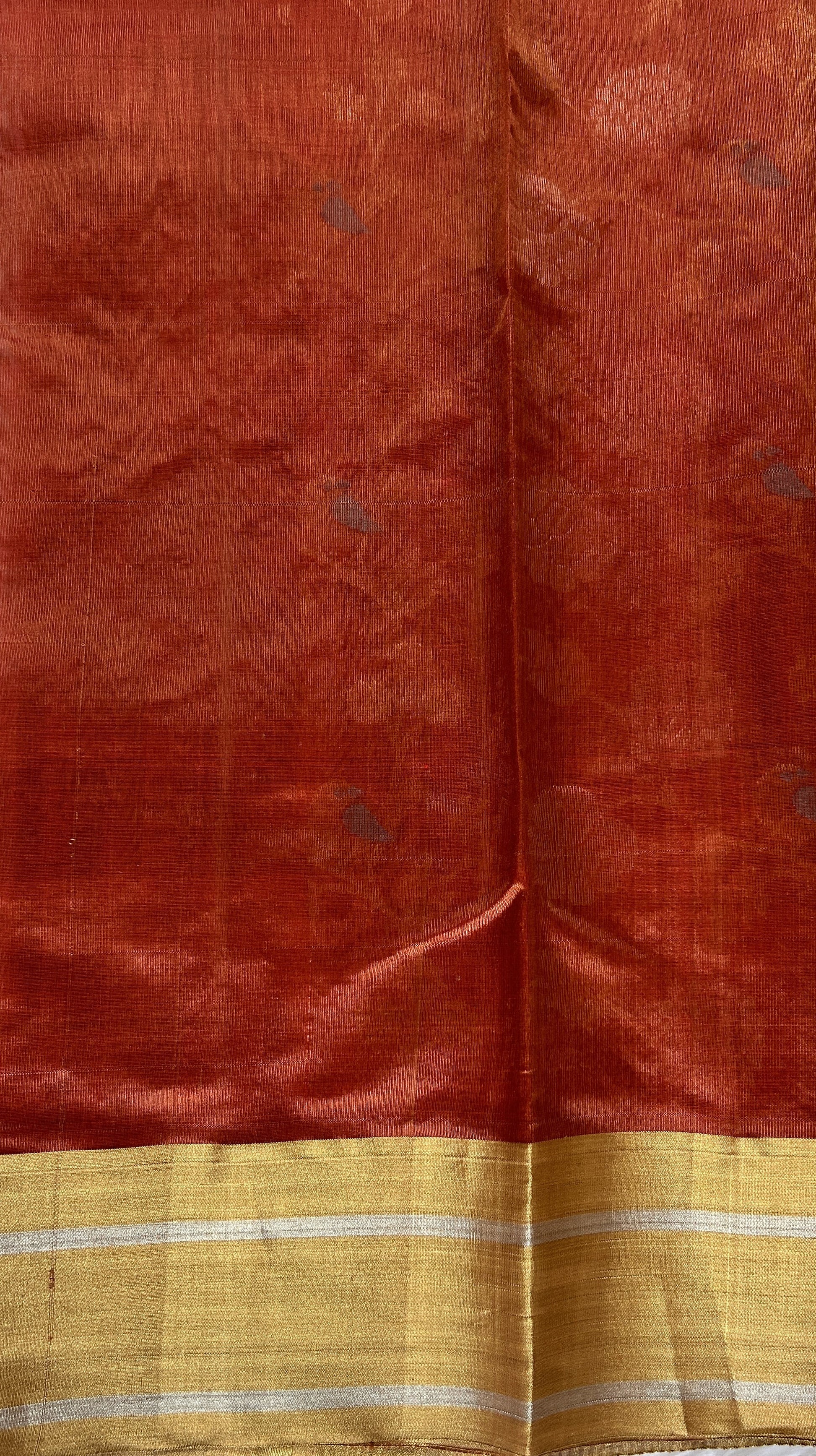 Chanderi Pattu Saree Brick colored saree complemented with a Gold Zari border - Sampradaya Designer Studio