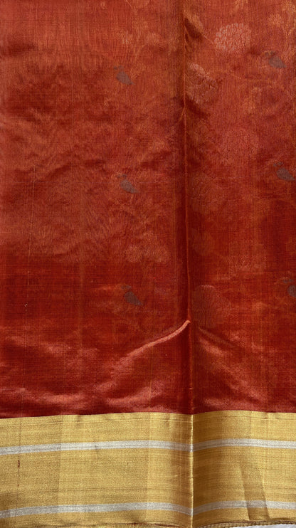 Chanderi Pattu Saree Brick colored saree complemented with a Gold Zari border - Sampradaya Designer Studio
