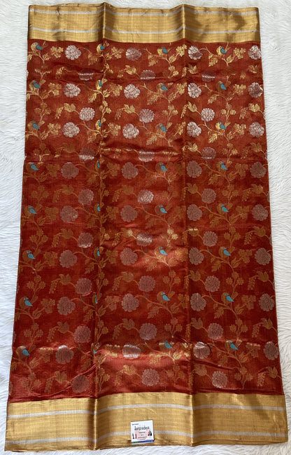 Chanderi Pattu Saree Brick colored saree complemented with a Gold Zari border - Sampradaya Designer Studio