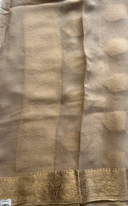 Semi Georgette Saree Oat Colored Elegantly Paired with a Zari Border. - Sampradaya Designer Studio