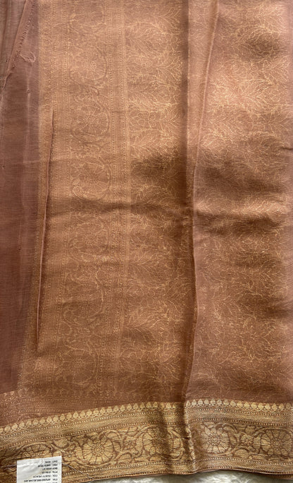 Semi Georgette Saree Peanut Colored Elegantly Paired with a Zari Border. - Sampradaya Designer Studio