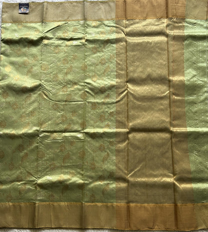 Chanderi Silk Saree Light Green color Elegantly Paired with a Gold Zari Border - Sampradaya Designer Studio