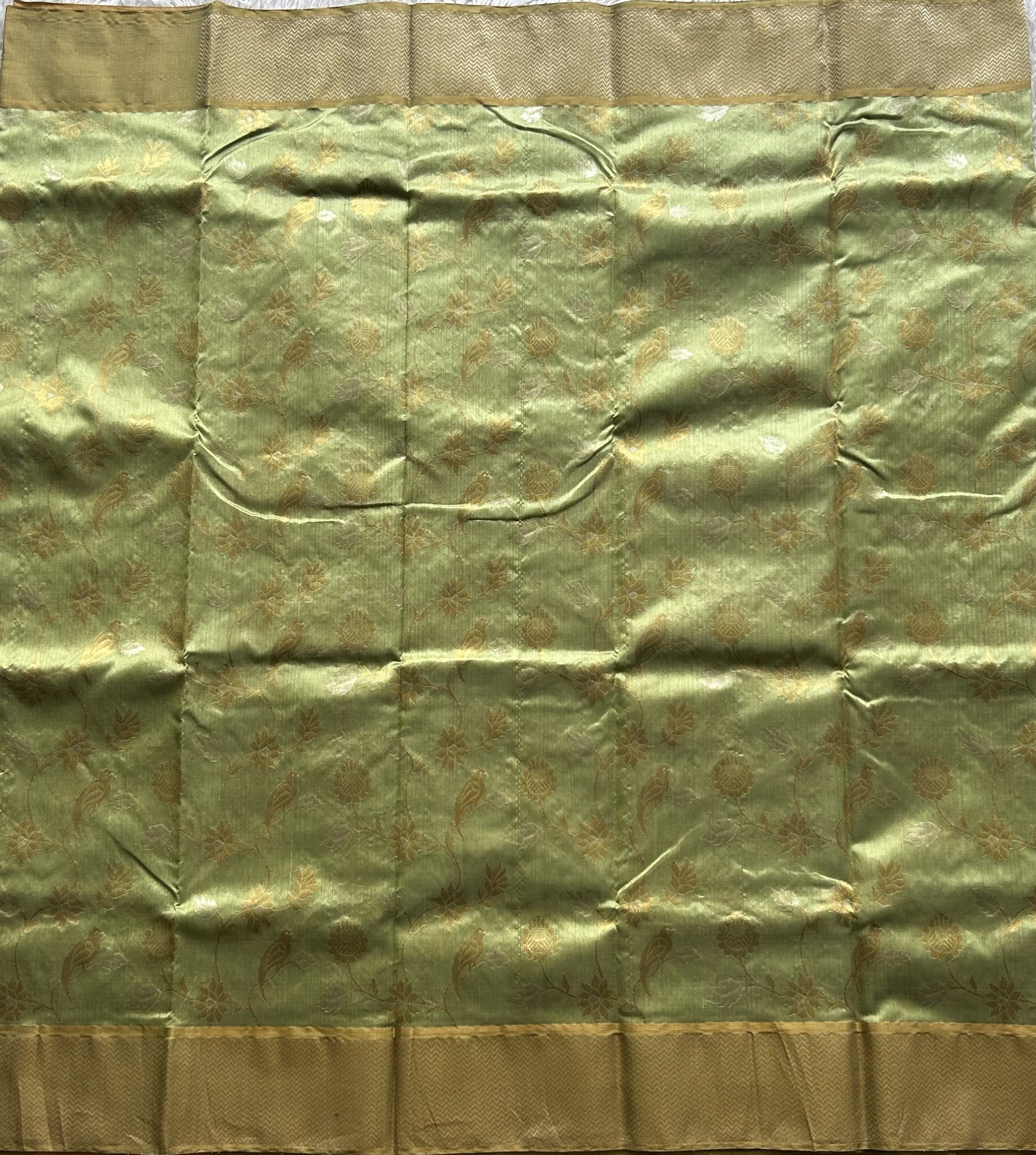 Chanderi Silk Saree Light Green color Elegantly Paired with a Gold Zari Border - Sampradaya Designer Studio