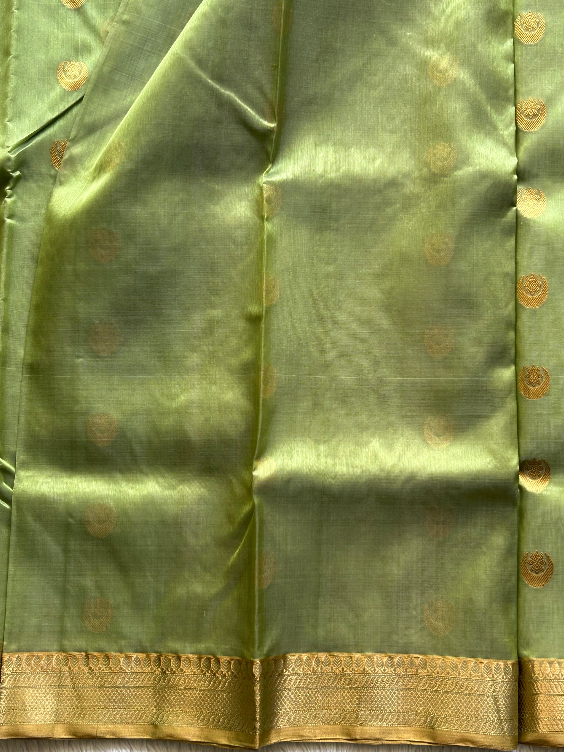Chanderi Silk Saree Mint Green color Elegantly Paired with a Gold Zari Border - Sampradaya Designer Studio