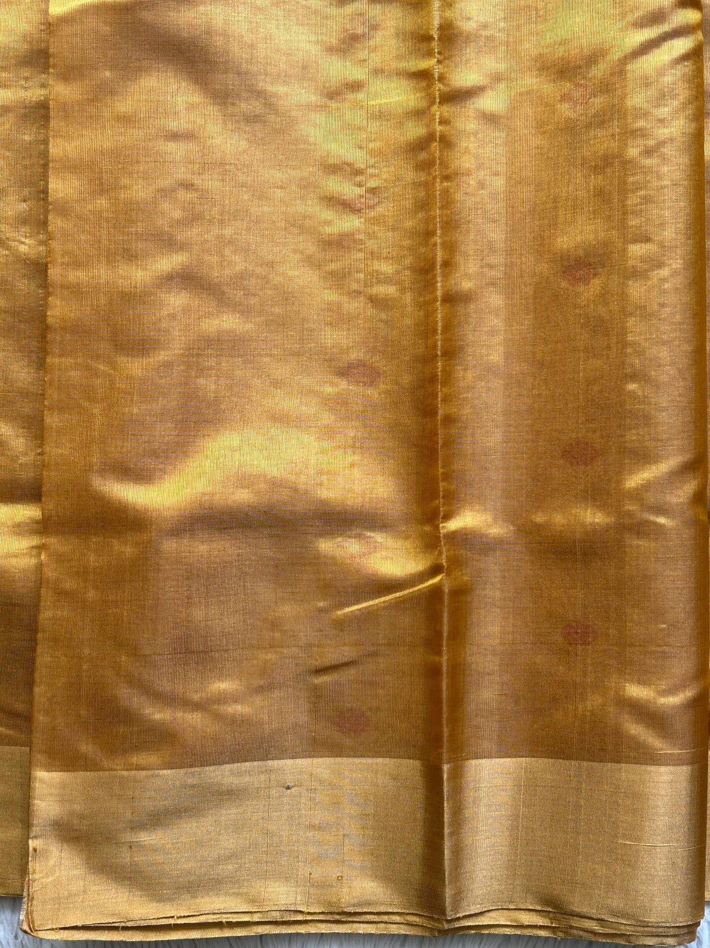 Chanderi Tissue Saree Mustard Yellow color Elegantly Paired with a Gold Zari Border - Sampradaya Designer Studio