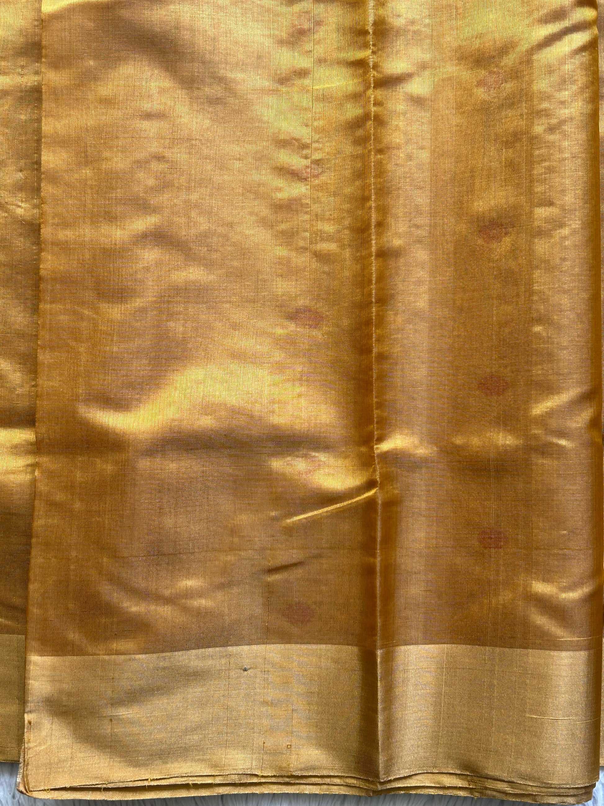 Chanderi Tissue Saree Mustard Yellow color Elegantly Paired with a Gold Zari Border - Sampradaya Designer Studio