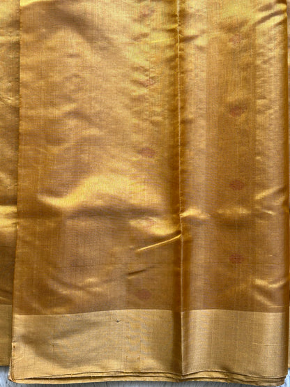 Chanderi Tissue Saree Mustard Yellow color Elegantly Paired with a Gold Zari Border - Sampradaya Designer Studio