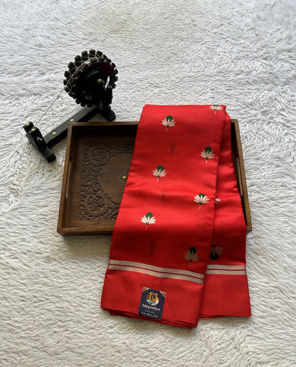 Chanderi Silk Saree Scarlet color Elegantly Paired with a Plain border - Sampradaya Designer Studio