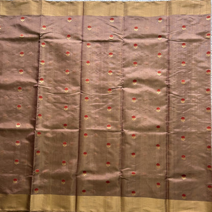 Chanderi Tissue Saree Tawny color Elegantly Paired with a Gold Zari Border - Sampradaya Designer Studio