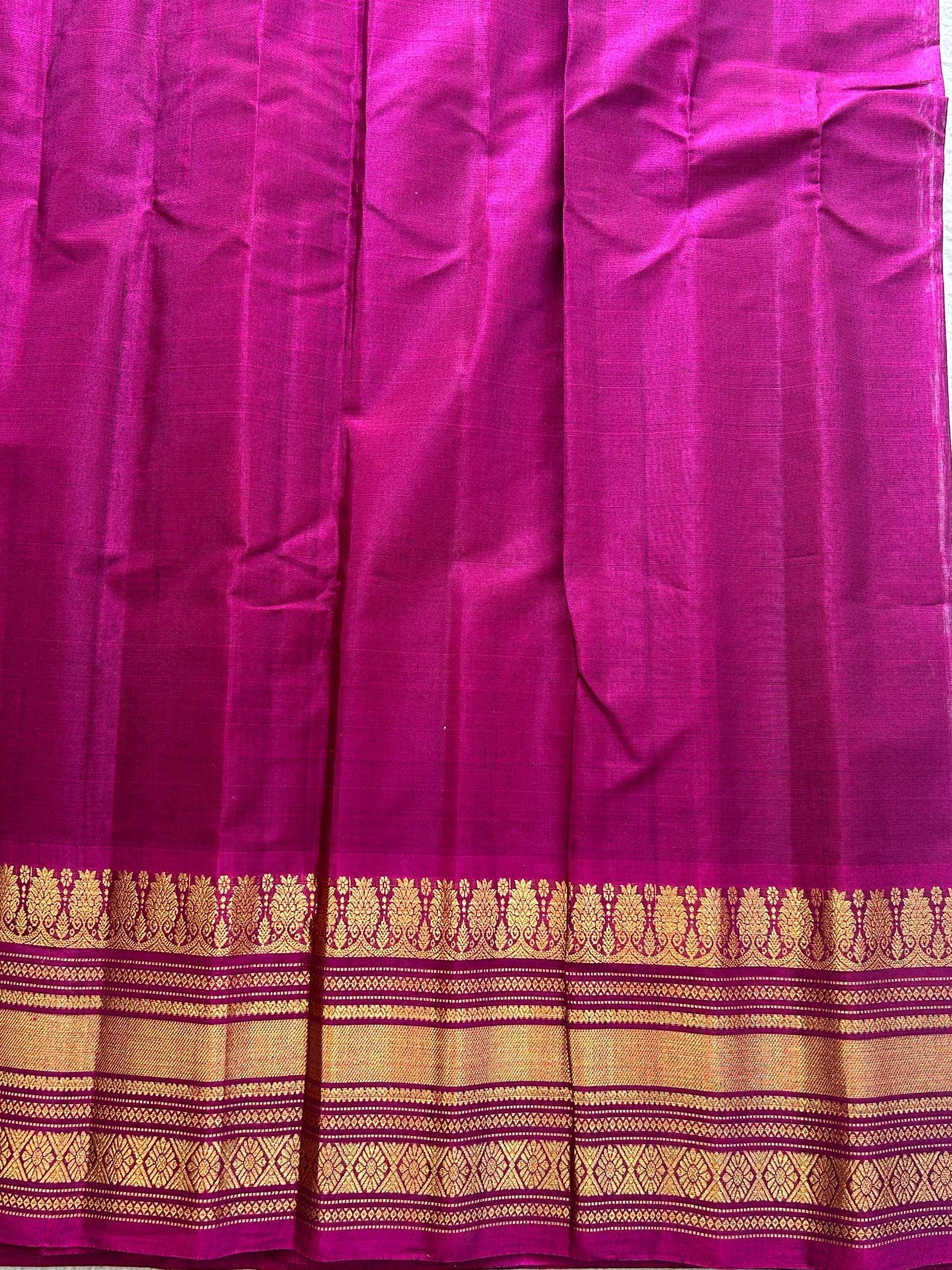 Gadwal Sico Saree Peanut colored complemented with a Gold Zari Border - Sampradaya Designer Studio
