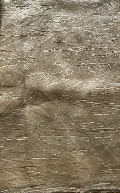 Inox Silk Saree Biscuit Colored Elegantly Paired with a Embroidered Border. - Sampradaya Designer Studio