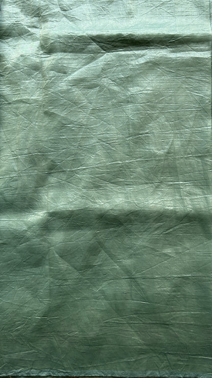 Inox Silk Saree Sea Green Colored Elegantly Paired with a Embroidered Border. - Sampradaya Designer Studio