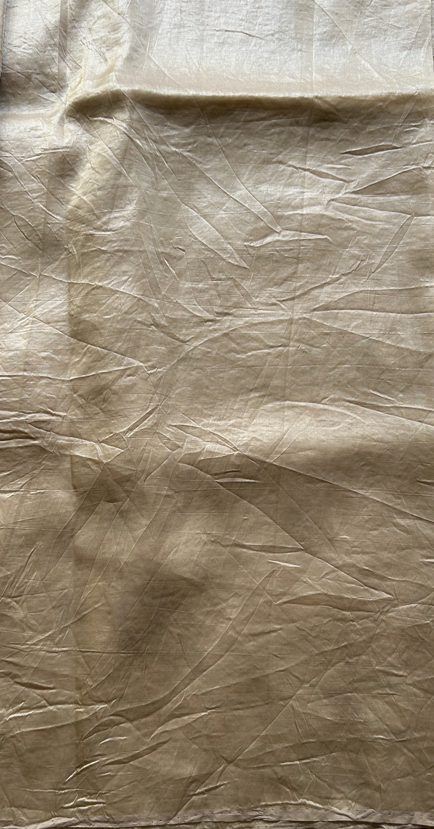 Inox Silk Saree Beige Colored Elegantly Paired with a Embroidered Border. - Sampradaya Designer Studio
