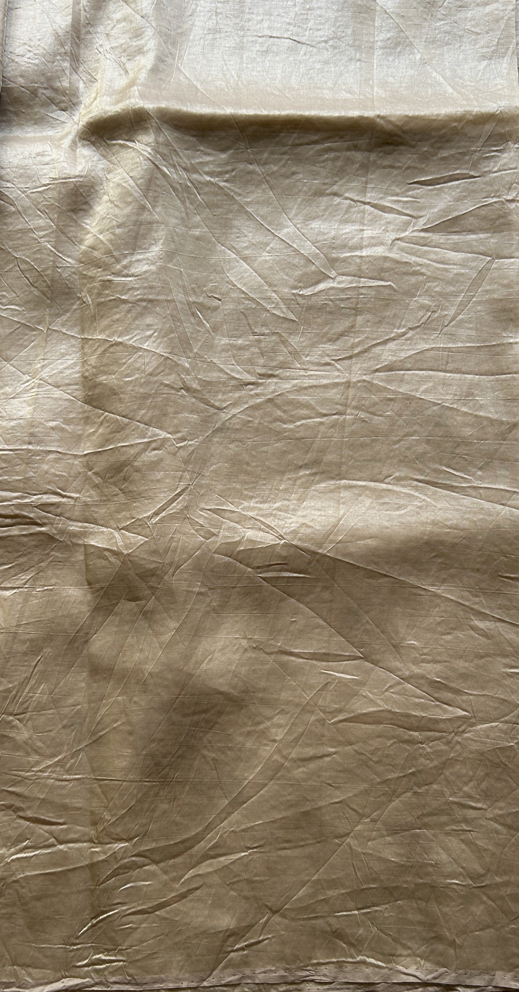 Inox Silk Saree Beige Colored Elegantly Paired with a Embroidered Border. - Sampradaya Designer Studio
