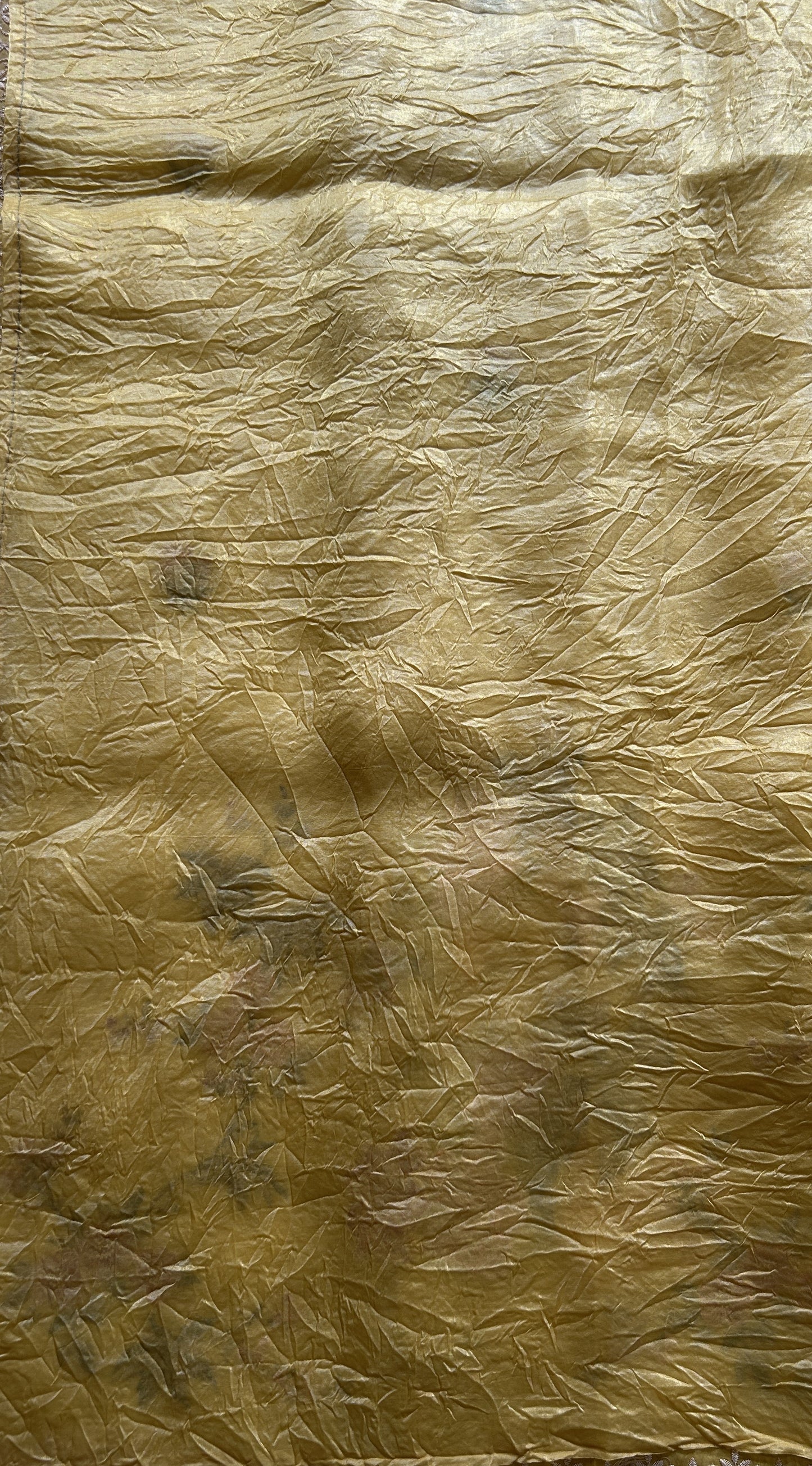 Inox Silk Saree Yellow Colored Complemented with a Embroidered Scallop Border. - Sampradaya Designer Studio