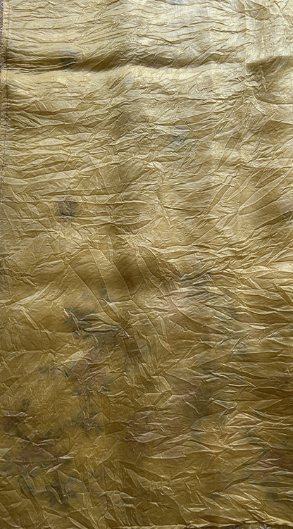 Inox Silk Saree Yellow Colored Complemented with a Embroidered Scallop Border. - Sampradaya Designer Studio