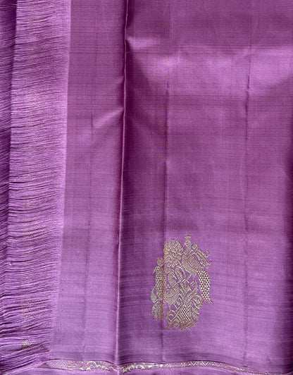 Kanjivaram Festive Silk Saree Turquoise Blue colored Saree complemented with a borderless Saree. - Sampradaya Designer Studio