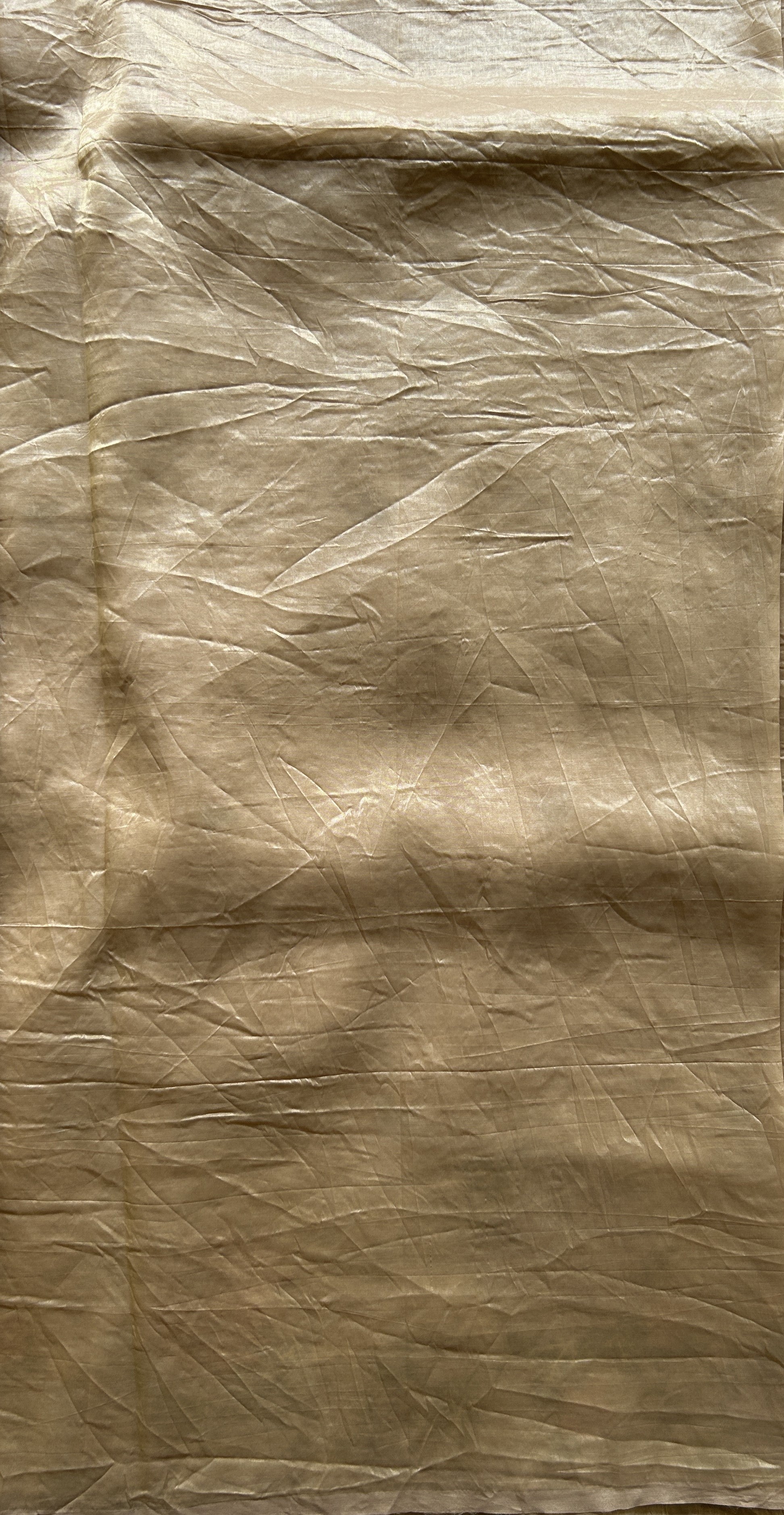 Inox Silk Saree Beige Colored Complemented with a Embroidered Border. - Sampradaya Designer Studio