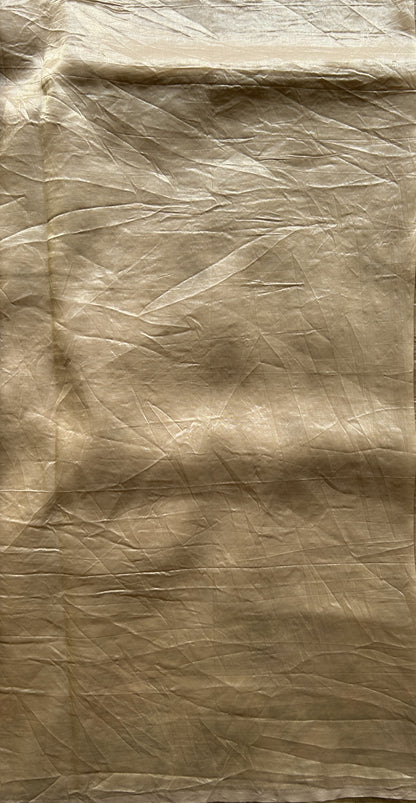 Inox Silk Saree Beige Colored Complemented with a Embroidered Border. - Sampradaya Designer Studio