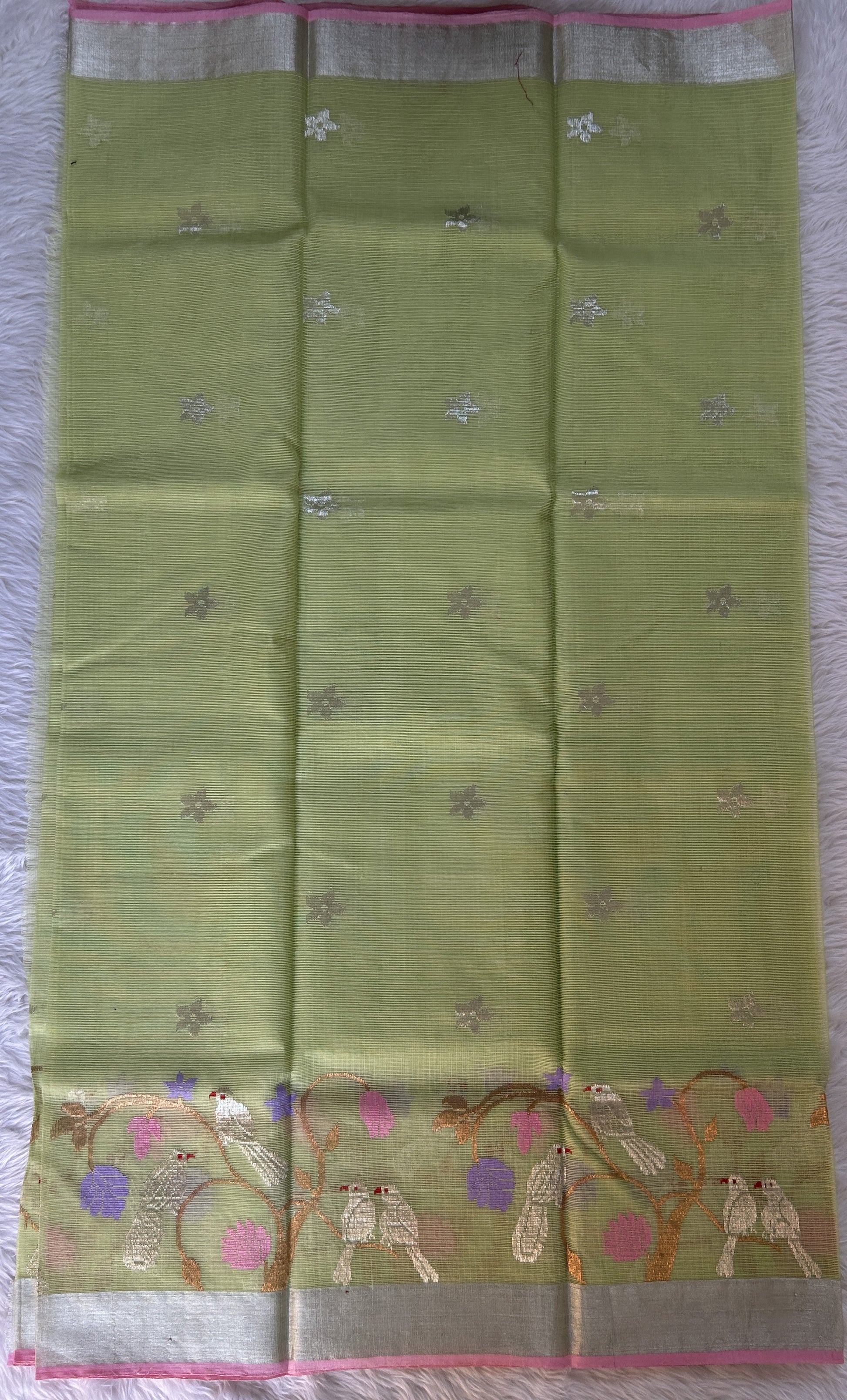 Zarikota saree Parrot Green colored Saree complemented with a Silver Zari border. - Sampradaya Designer Studio