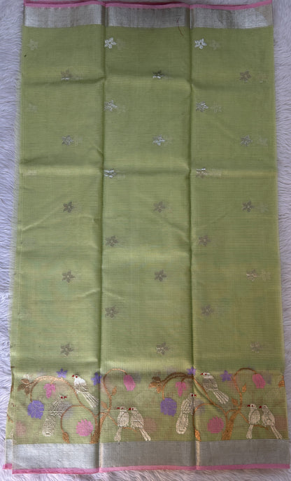 Zarikota saree Parrot Green colored Saree complemented with a Silver Zari border. - Sampradaya Designer Studio
