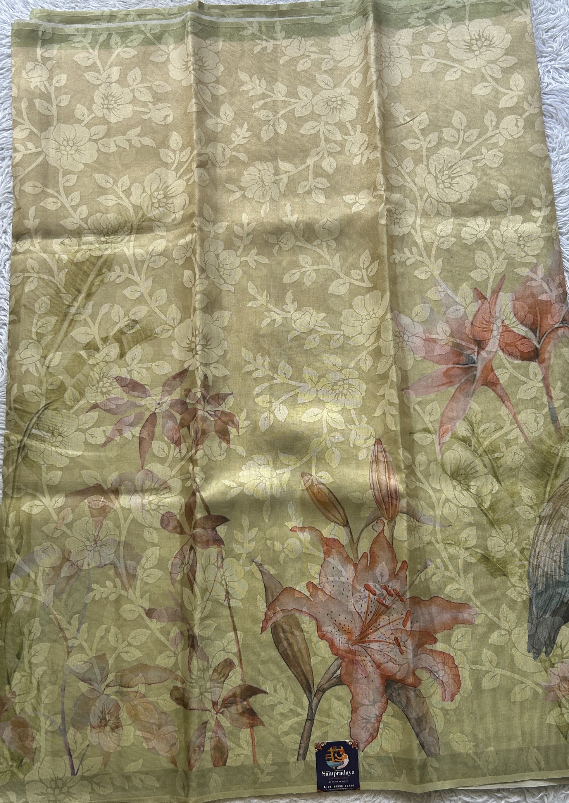 Semi Tussar Tissue Saree Inchworm Colored complemented with a Borderless. - Sampradaya Designer Studio