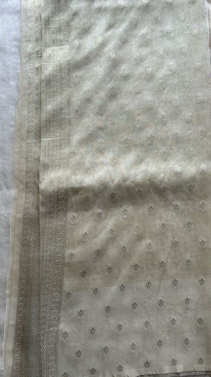 Semi Georgette Saree Very Light Blouse Colored Complemented with a Zari Border. - Sampradaya Designer Studio