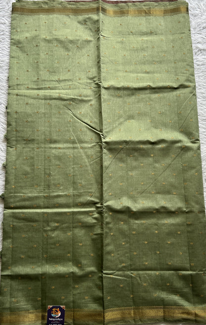 Semi Tussar Saree Light Olive Green Colored Complemented with a Zari Border. - Sampradaya Designer Studio