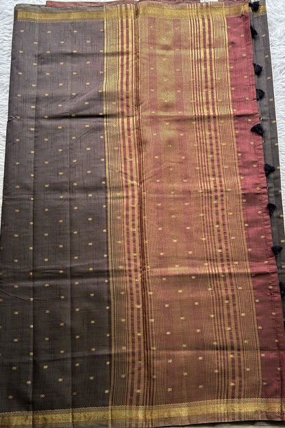 Semi Tussar Saree Snuff Colored Complemented with a Zari Border. - Sampradaya Designer Studio