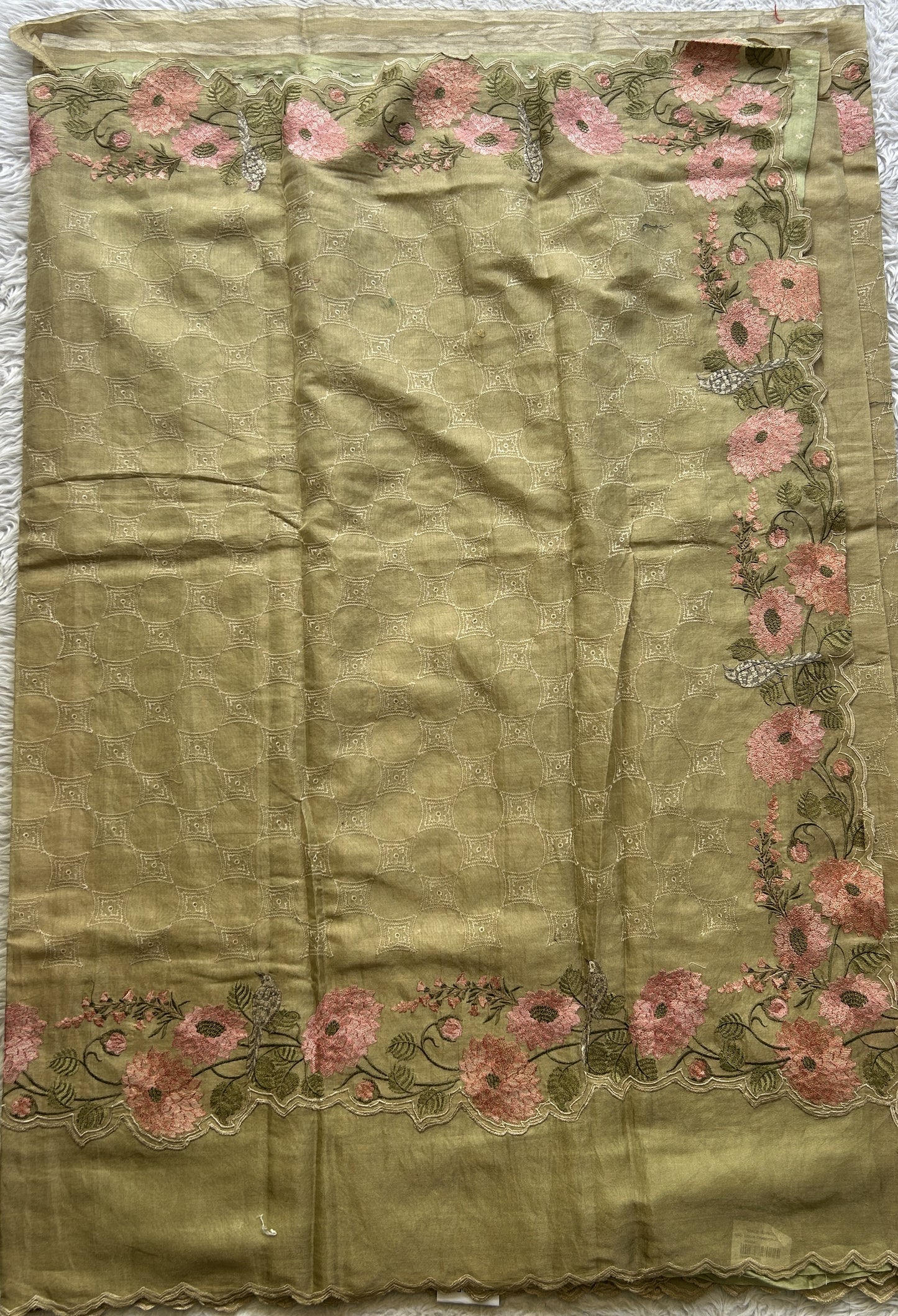 Banarasi Tissue Kora Allover Saree Olive Colored Complemented with a Scallop Border. - Sampradaya Designer Studio