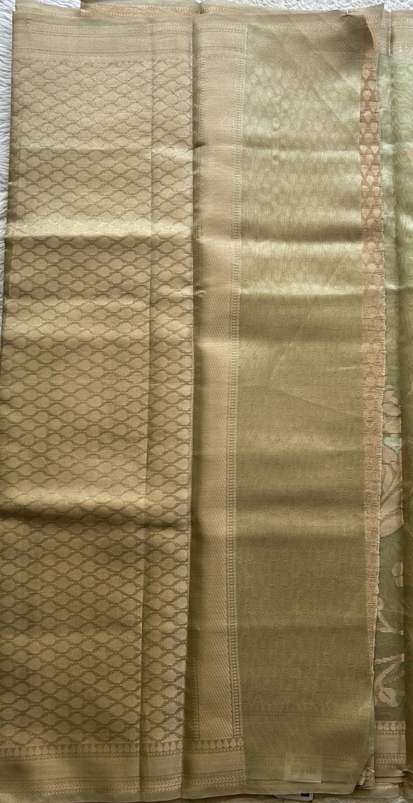Tissue Organza Allover Saree Very Light Green Colored Complemented with a Borderless. - Sampradaya Designer Studio