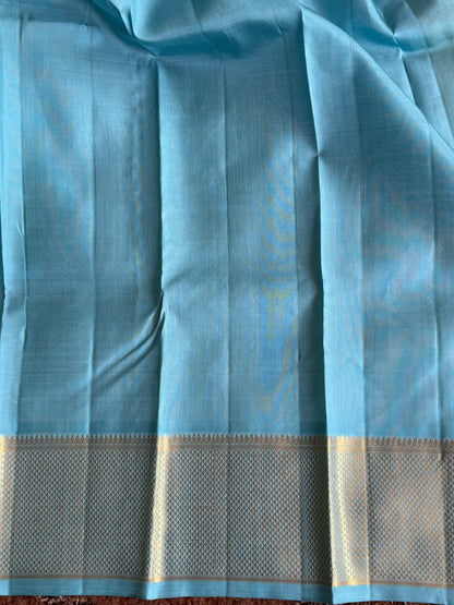 Pure Kanjivaram Silk Saree Sky Blue Colored Elegantly Paid with a Gold Zari Border.