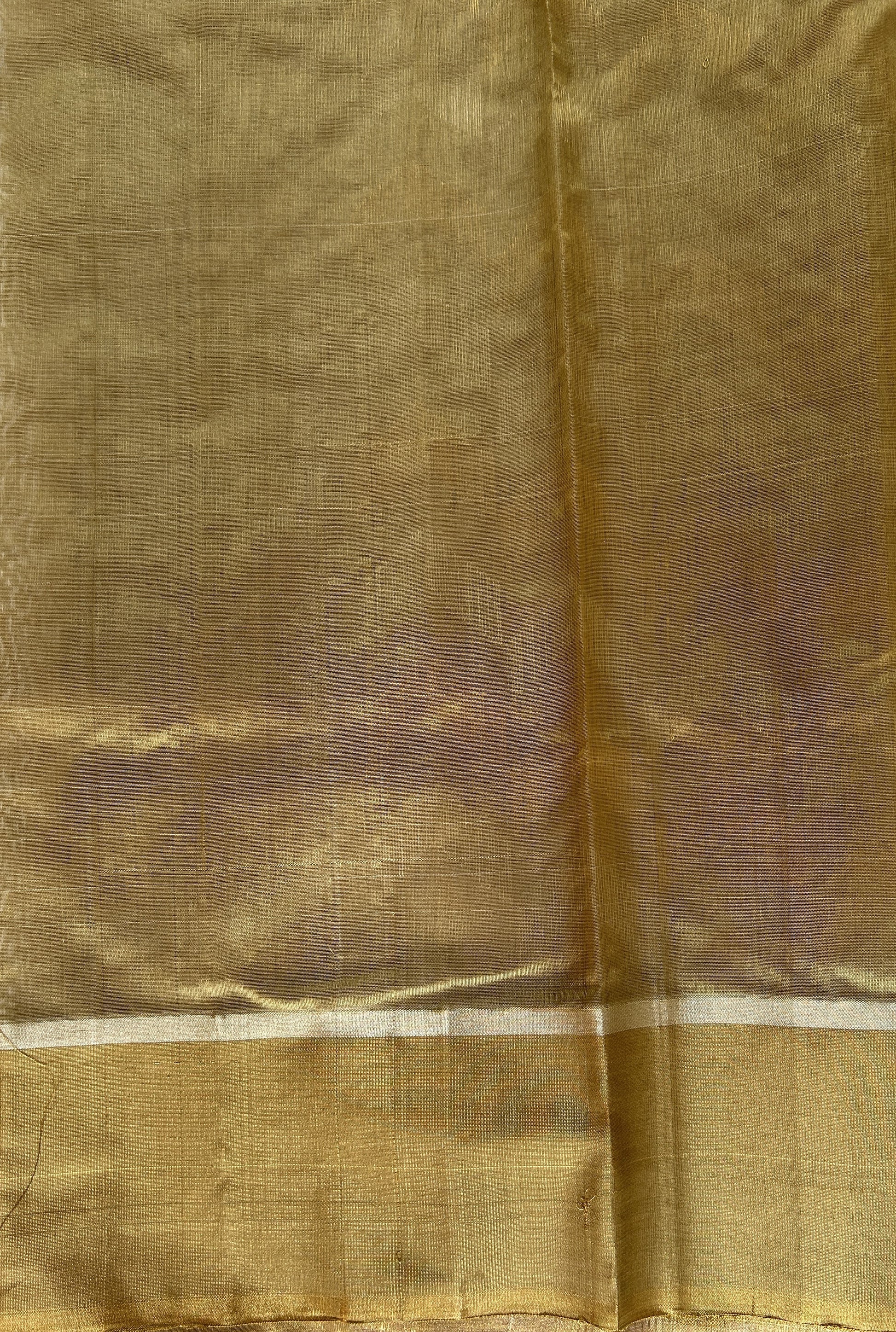 Chanderi Pattu Saree Pastel Green colored saree complemented with a Gold Zari border - Sampradaya Designer Studio