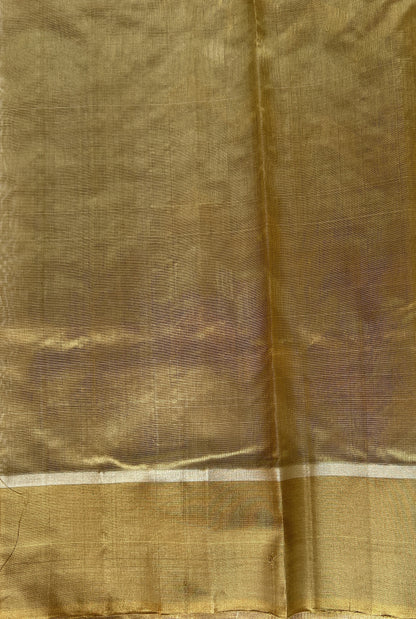 Chanderi Pattu Saree Pastel Green colored saree complemented with a Gold Zari border - Sampradaya Designer Studio