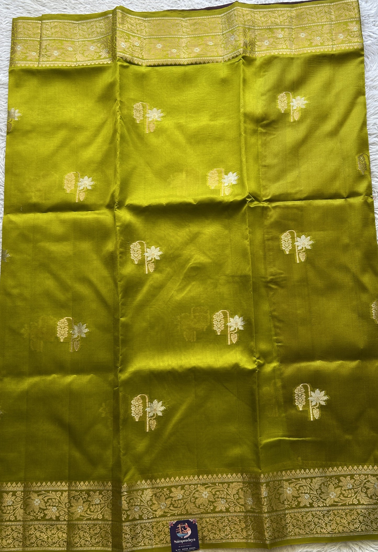 Chiniya Silk Saree Lime Green Colored Exquisite with a Zari Border. - Sampradaya Designer Studio