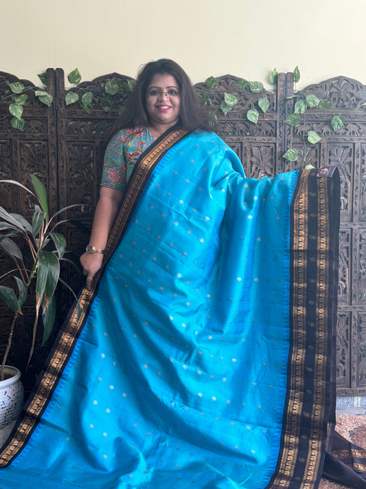 Gadwal Pattu Saree Sky Blue colored saree complemented with a Brown Zari border - Sampradaya Designer Studio