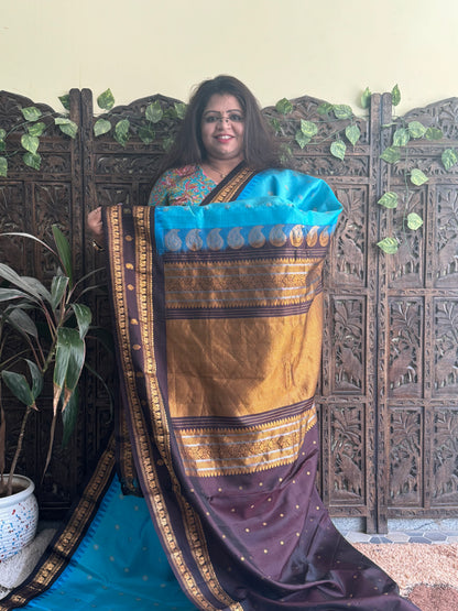 Gadwal Pattu Saree Sky Blue colored saree complemented with a Brown Zari border - Sampradaya Designer Studio