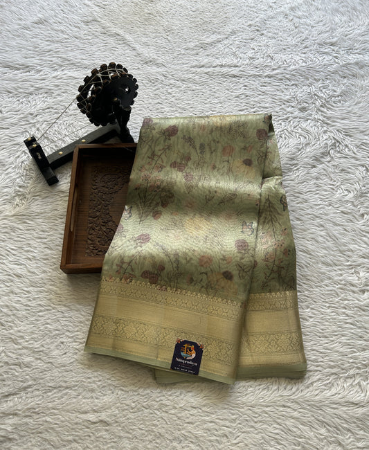Tissue Organza Saree Light Green Colored Elegantly Paired with a Zari Border. - Sampradaya Designer Studio