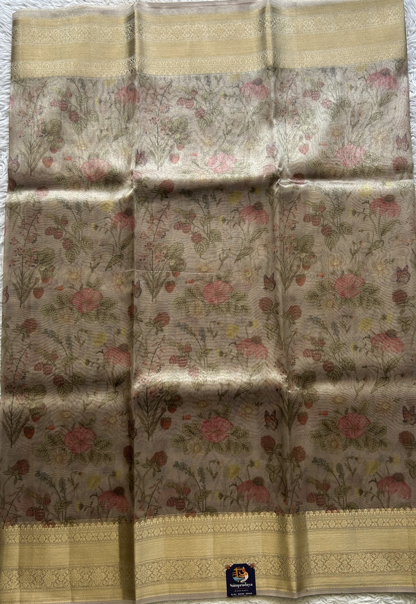 Tissue Organza Saree Very Light Pink Colored Elegantly Paired with a Zari Border. - Sampradaya Designer Studio