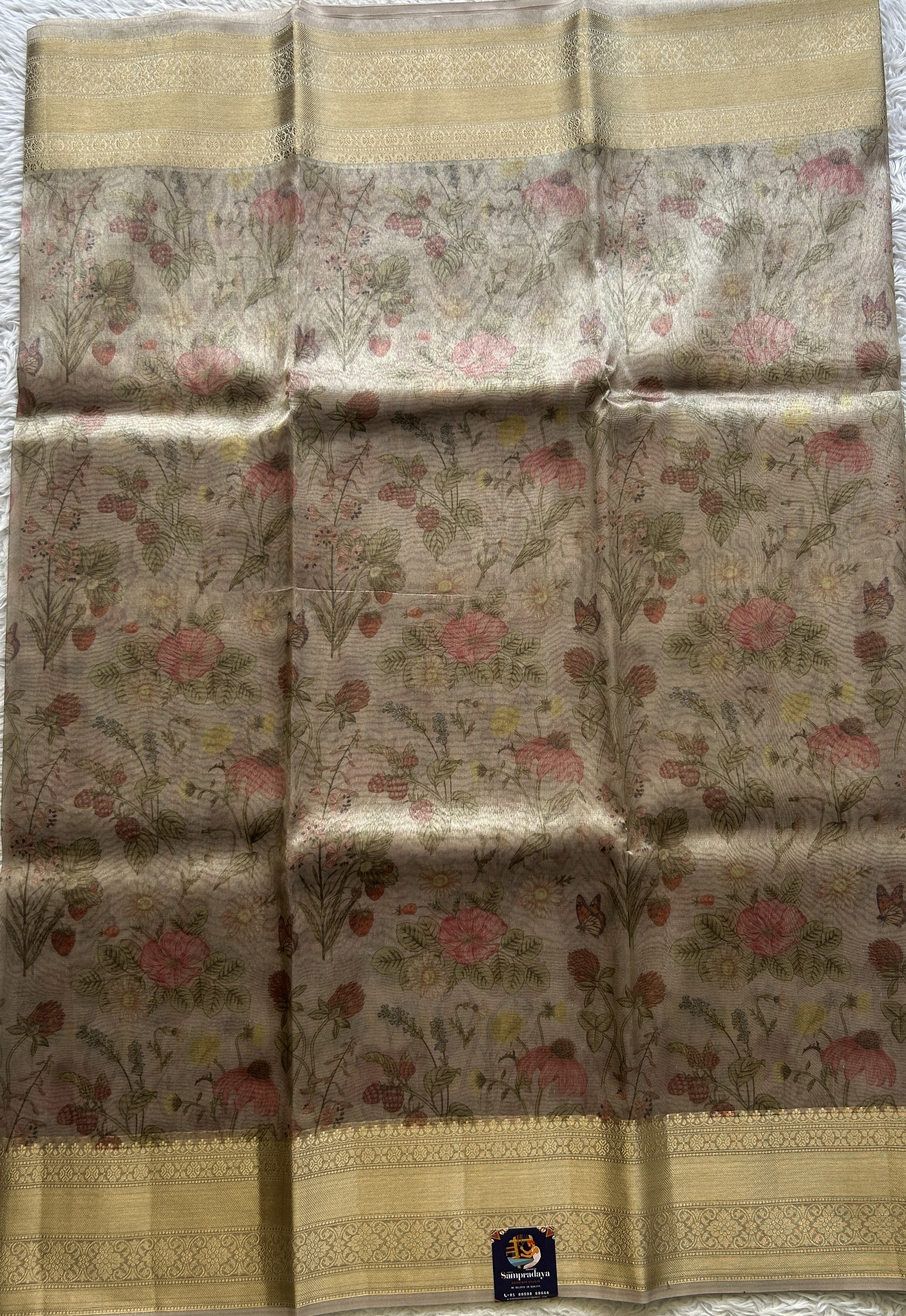 Tissue Organza Saree Very Light Pink Colored Elegantly Paired with a Zari Border. - Sampradaya Designer Studio