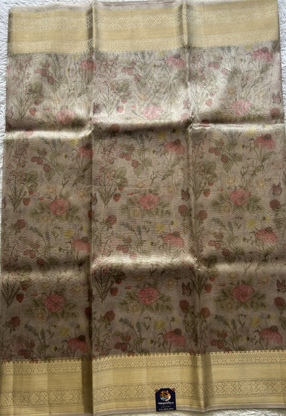 Tissue Organza Saree Very Light Pink Colored Elegantly Paired with a Zari Border. - Sampradaya Designer Studio