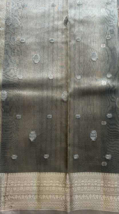 Tissue Organza Saree Elephant Gray Colored Elegantly Paired with a Zari Border. - Sampradaya Designer Studio